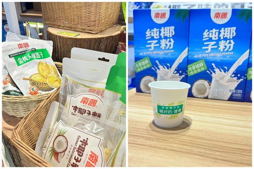 南國食品 椰香飄逸大灣區(qū)南國椰子節(jié)引領(lǐng) 椰味 新風尚