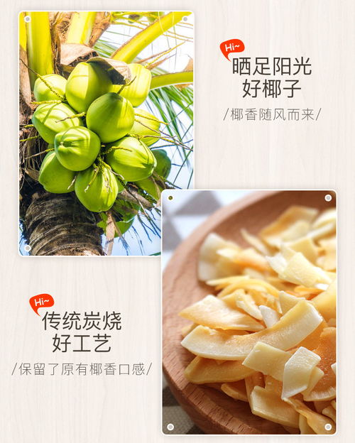 海南特產(chǎn) 南國(guó)食品椰子片 香脆椰子片60gx2 炭烤椰片 福卡商城