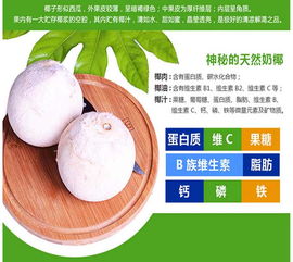 椰泰海南椰子汁 綠色食品供應(yīng)商全覽與椰子食品深度解析