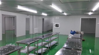 專業(yè)無塵實驗室建設專家 無錫谷能凈化與石家莊無塵實驗室安裝服務詳解